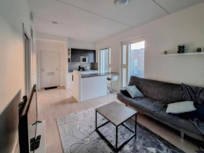 2-room apartment, 7 mins by train to airport
